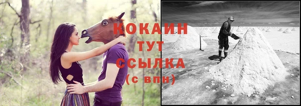 ПСИЛОЦИБИНОВЫЕ ГРИБЫ Лиски