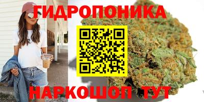 jwh Беслан