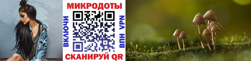 Псилоцибиновые грибы мицелий Калуга