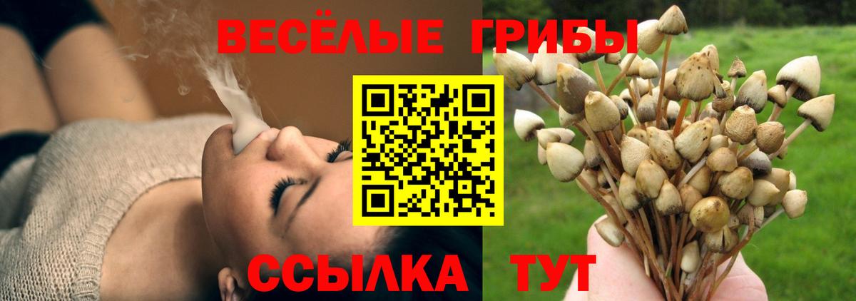 Псилоцибиновые грибы мицелий Калуга